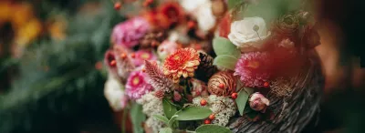 Erlebe Lahr: Chrysanthema Stadt Lahr, Floristik