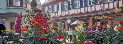 Blumenbeet am Rosenbrunnen während der Chrysanthema in Lahr/Schwarzwald 